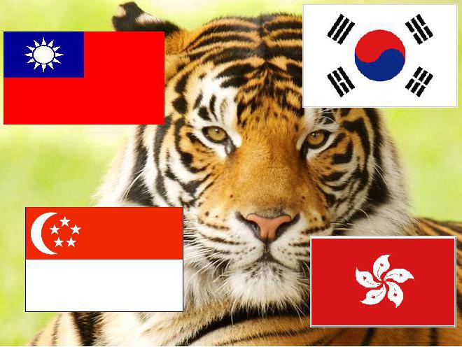  tigres asiáticos país