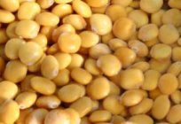 Cultivos: cereales, legumbres. La lista de cultivos forrajeros