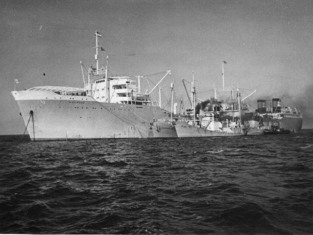 whaling in the USSR