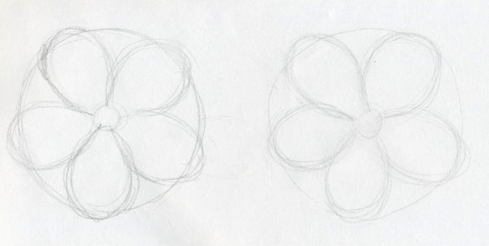 learn to draw flowers