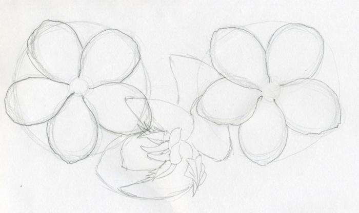 pencil to draw easy flowers