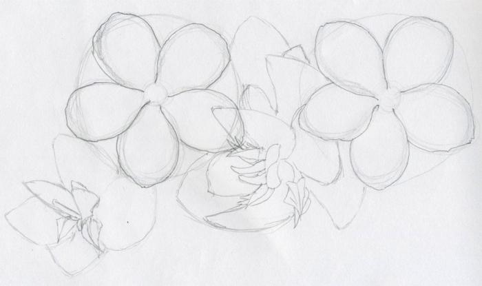 learn to draw flowers of fire