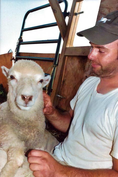 羊の農業利益事業
