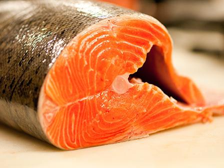 what distinguishes the salmon from the trout