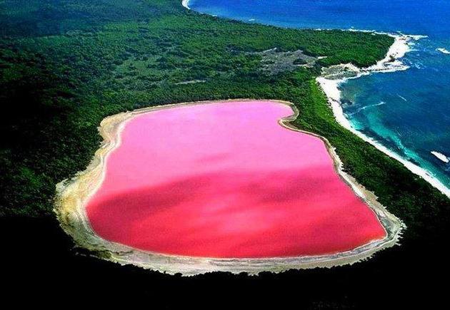 Australia: hiller różowe jezioro.