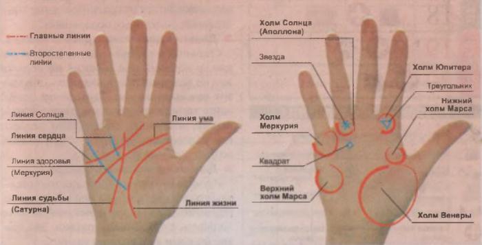 chiromancja znak śmierci na dłoni