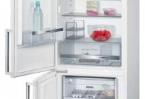 Refrigerator Siemens: review the best models, comparison with competitors, customer reviews