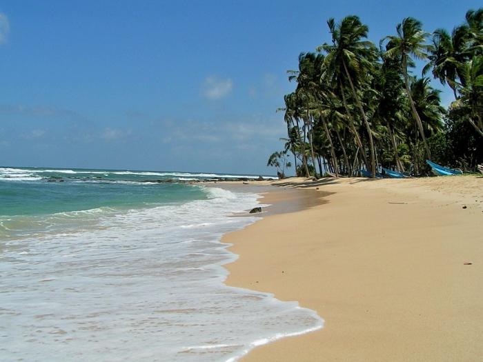 Sri Lanka opiniões turistas preços