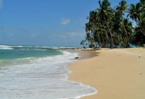Die begeisterten Rezensionen der Touristen: Sri Lanka