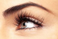 Wie man modische Augenbrauen? Breite Augenbrauen - Trend der Saison