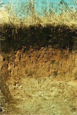 Soil profile soil