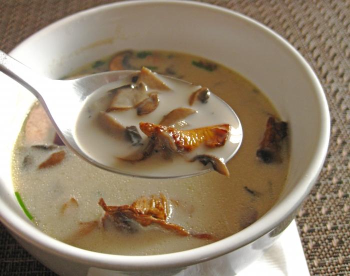 Soup of fresh mushrooms: recipe