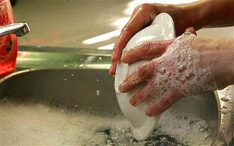 dishwashing liquid with their hands