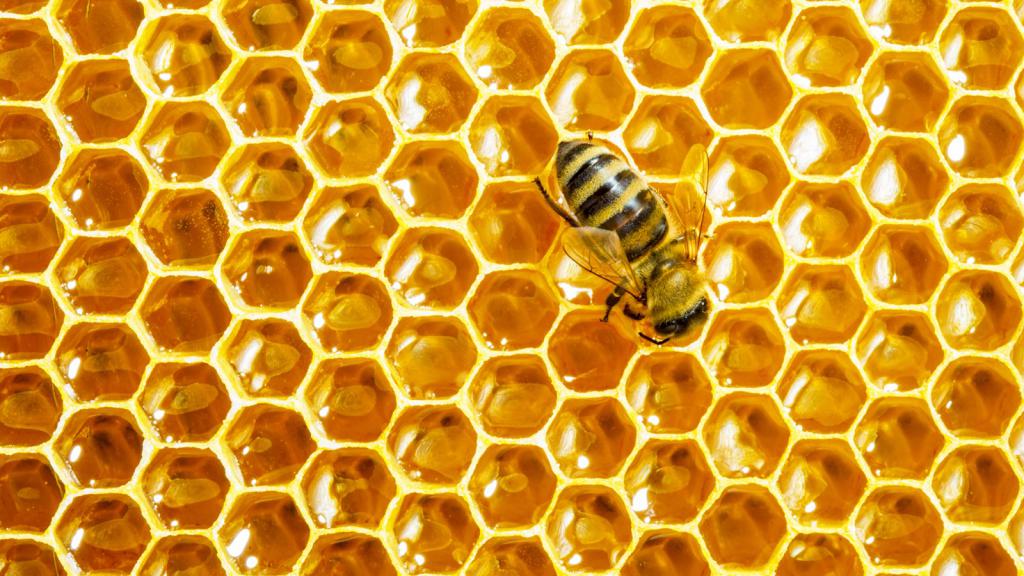 العسل أفضل علاج