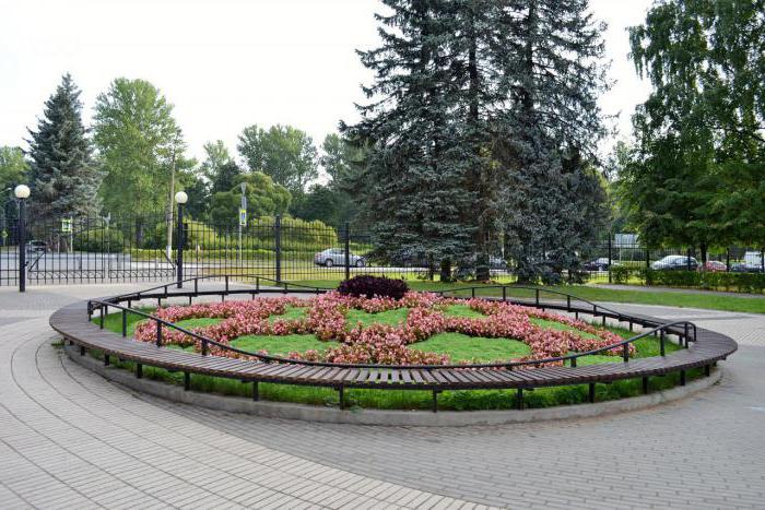 Зеленогорский kültür parkı rekreasyon