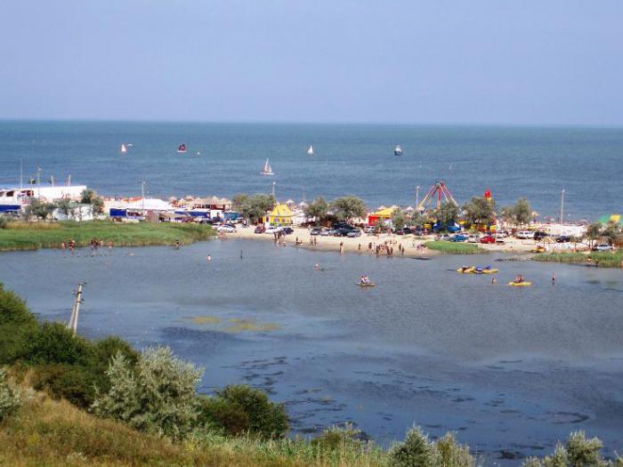 Голубицкая morza azowskiego zdjęcia