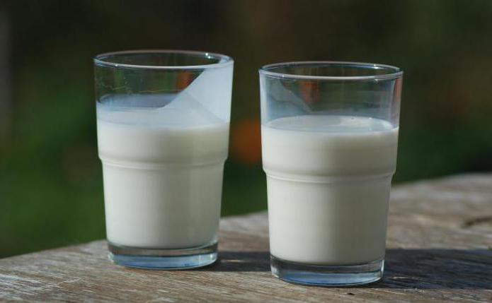 буйволине süt faydaları