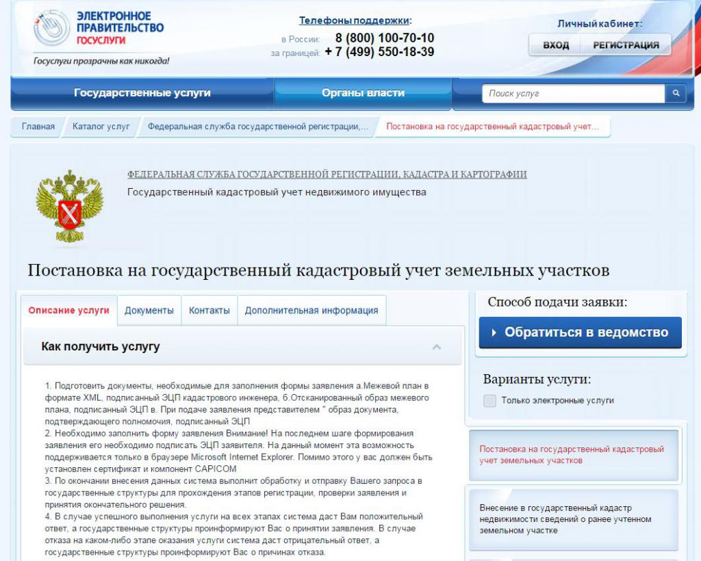 the Website of the electronic government of Russia