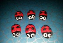 Ladybug from clay: how to sculpt