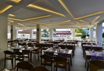 Smartline सफेद शहर समुद्र तट होटल 4 * (तुर्की, इस्तांबुल): विवरण और समीक्षा