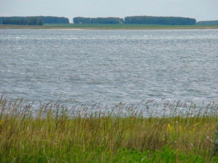 возера горкае новасібірская вобласць водгукі