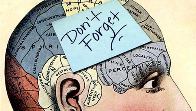 قوانين الذاكرة في علم النفس