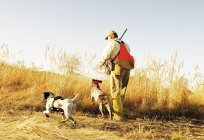 Halsbänder für Hunde mit dem Navigator: Beschreibung, Eigenschaften, Anweisungen. Hundehalsband mit GPS für Hunde für die Jagd