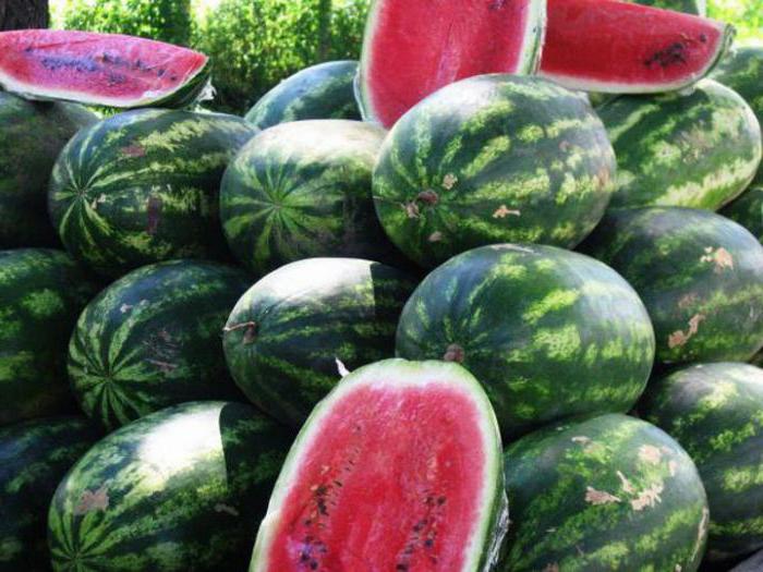 Arten von Wassermelonen Foto