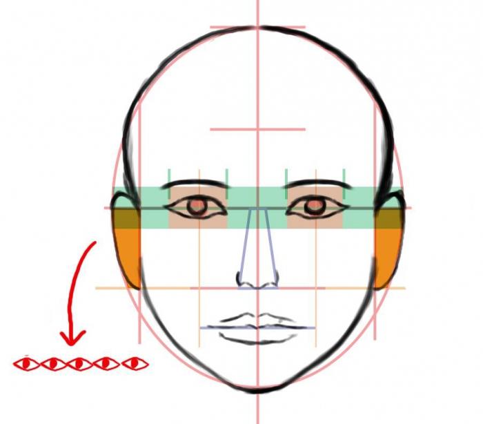 jak rysować twarz człowieka