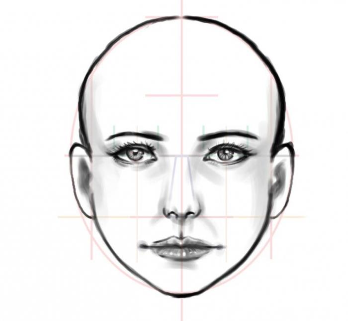 how to draw a human face