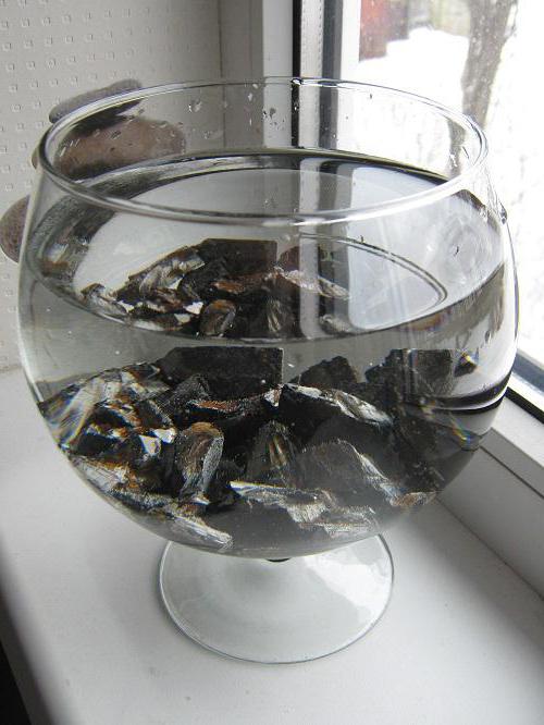 shungite for water purification properties