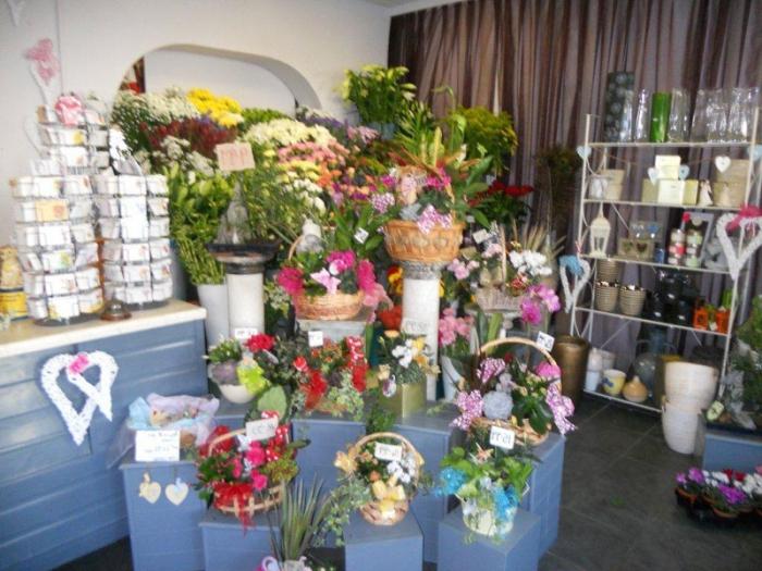 Flower business from the ground up