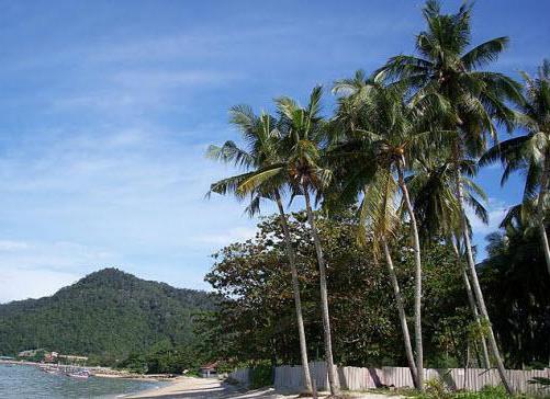 海滩度假在马来西亚在