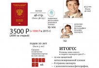 什么文件都需要新的护照？