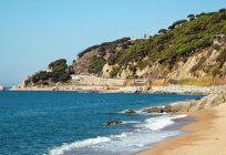 ビーチはバルセロナ–素晴らしい休暇の海岸には、スペイン語舎