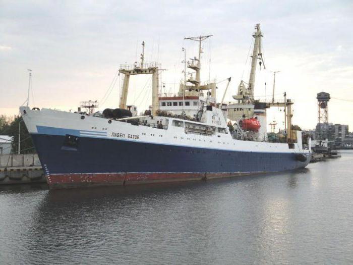 Pavel Batov ship