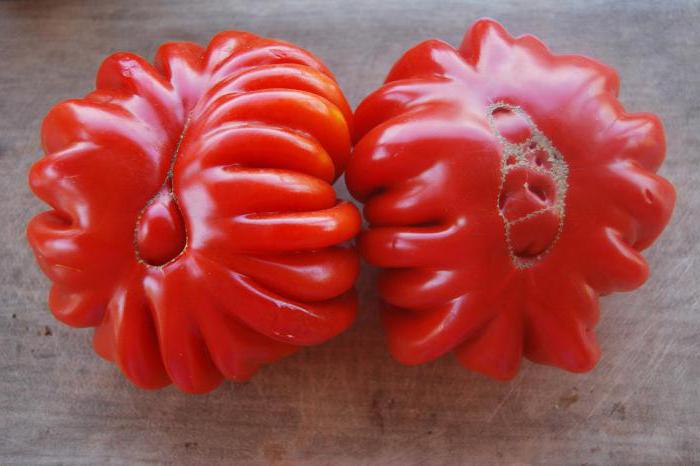 Pomidor Лотаринская piękna