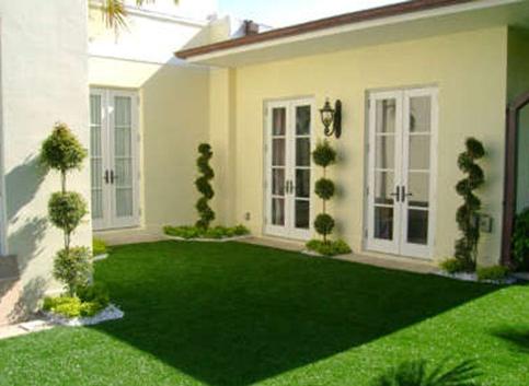 How to sow lawn grass