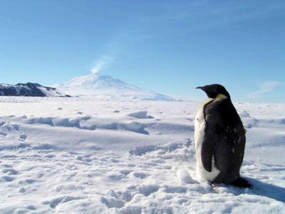 Саяхаттауға Антарктиду