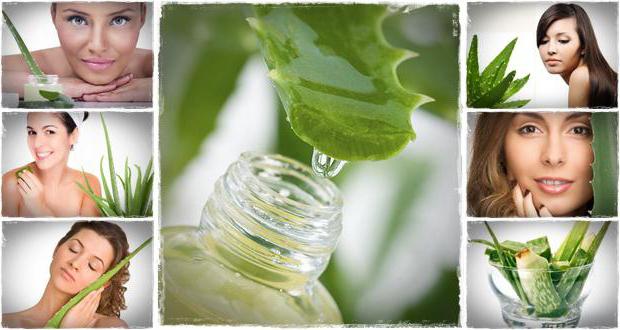 benefits of aloe for the body