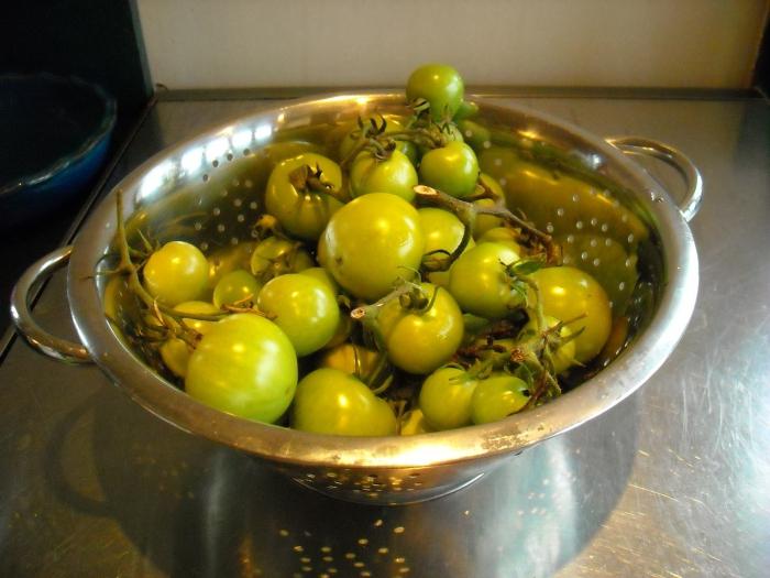 how to pickle green tomatoes