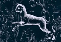 A constelação do Lince: descrição, história,pontos de interesse