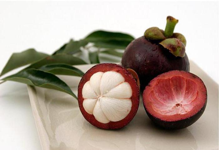 mangosteen meyve yararlı özellikleri