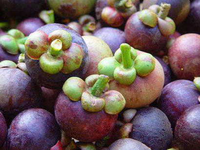 mangosteen meyve yararlı özellikleri fotoğraf