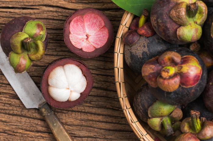 Frucht Mangostan nützliche Eigenschaften Zusammensetzung