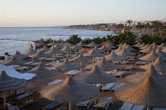 Sharm El Sheikh royal paradise resort 4