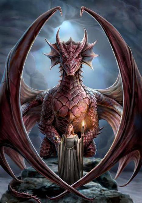 books about elves and dragons