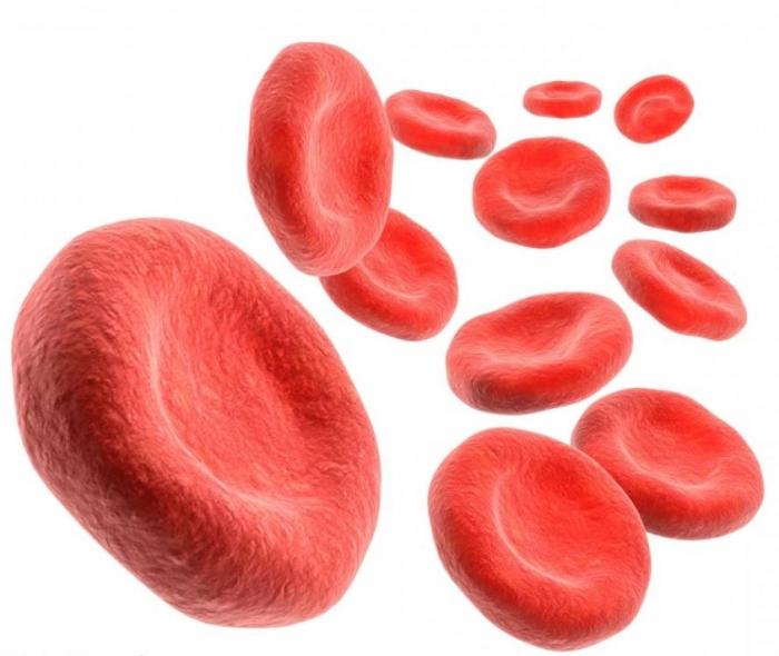 norma hemoglobiny u miesięcznego dziecka
