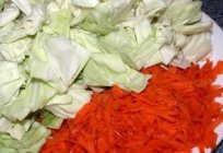 How to cook healthy vitamin salad from cabbage and carrots with vinegar