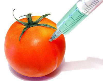 GMOs benefit or harm